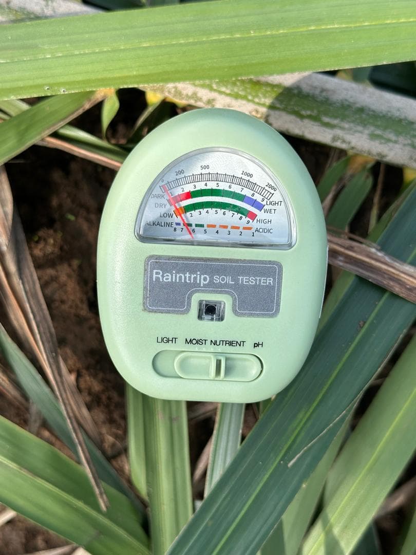 Soil tester placed among crops for field monitoring